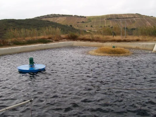 máy sục khí khuấy bề mặt