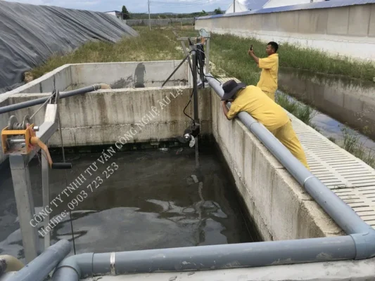 máy khuấy chìm cho nhà máy chăn nuôi